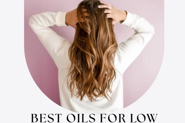 Best Oils for Low Porosity Hair