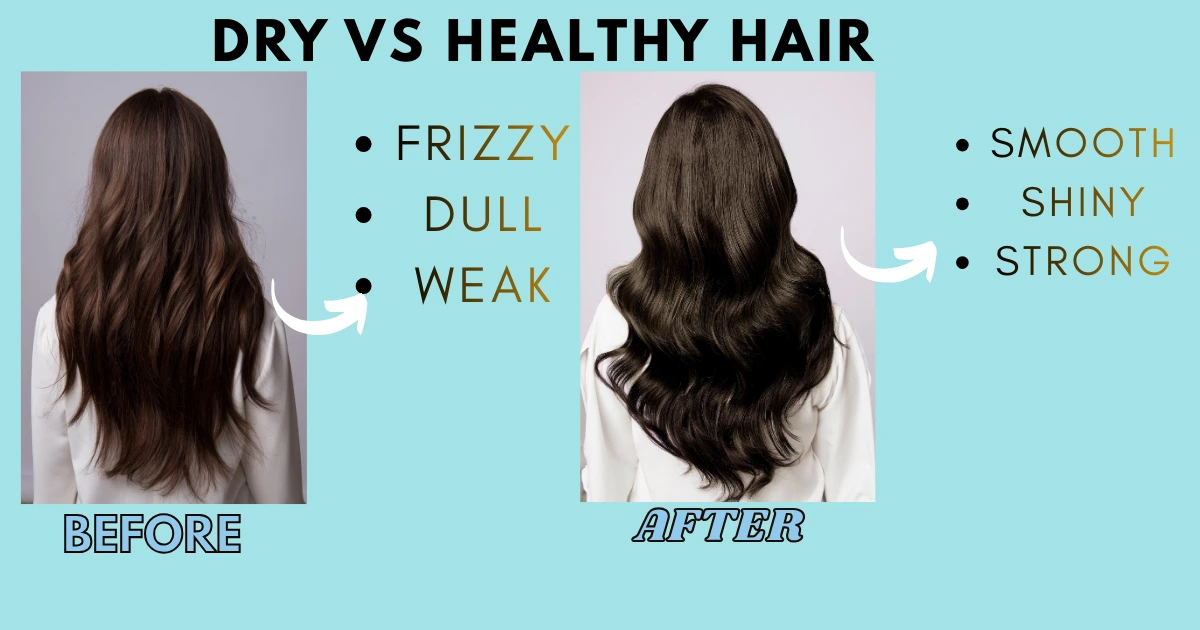 How to Restore Dried and Broken Hair in Natural Ways.