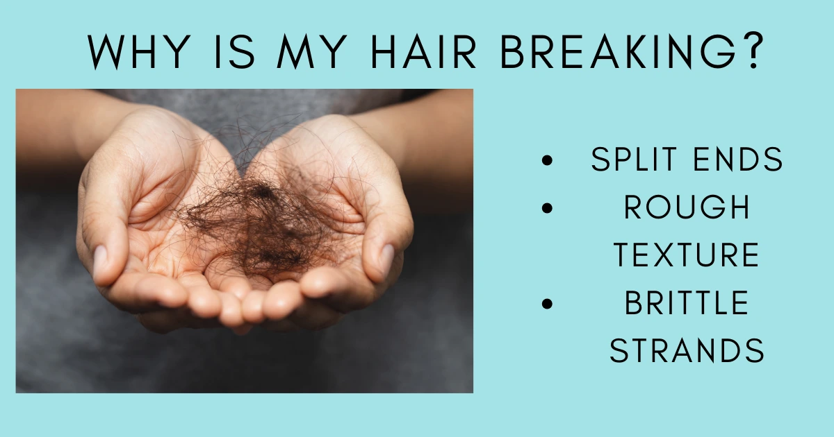 How to Restore Dried and Broken Hair in Natural Ways.