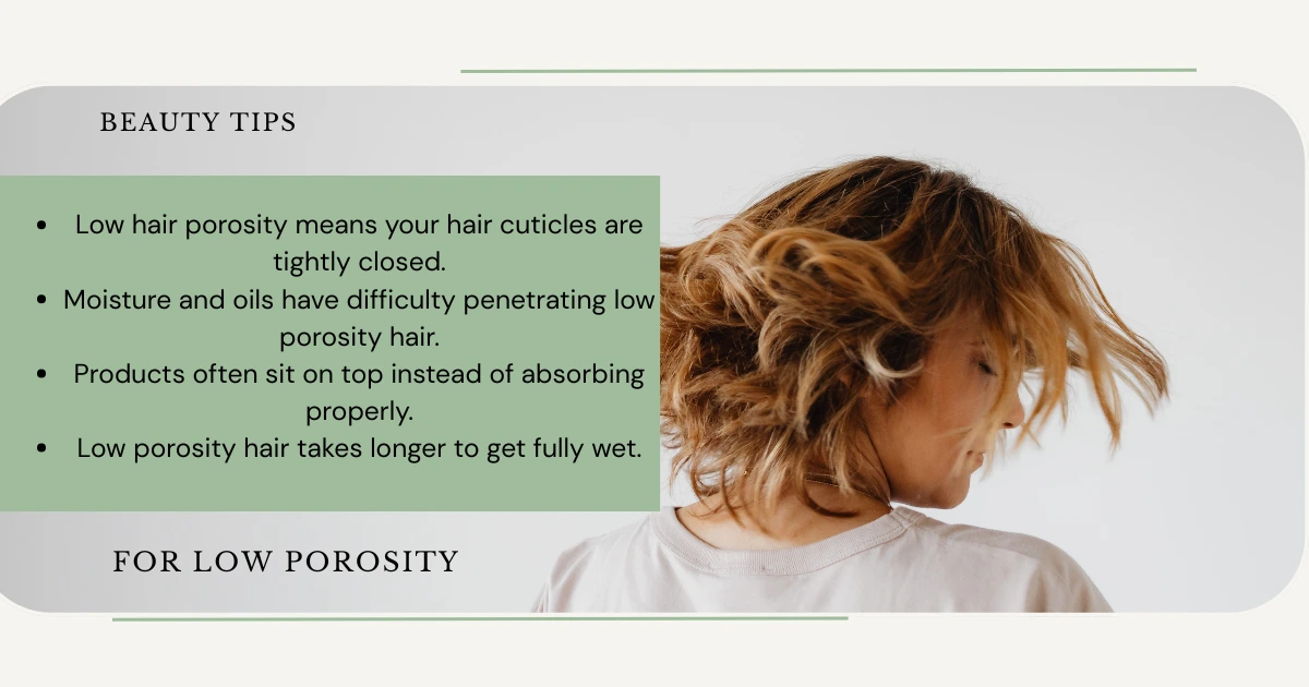 Best Oils for Low Porosity Hair