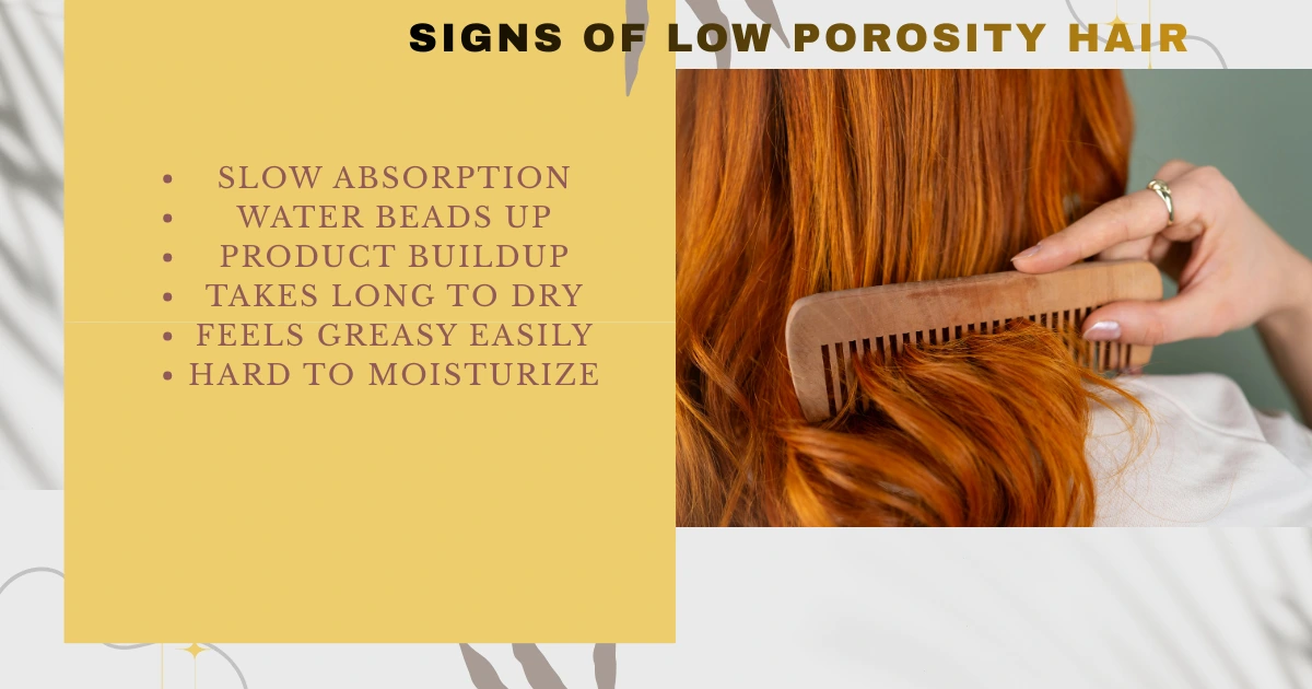 Best Oils for Low Porosity Hair